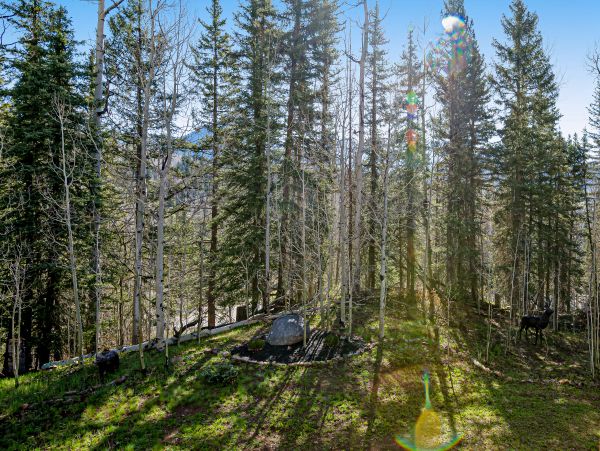 Breckenridge Home 1018089
