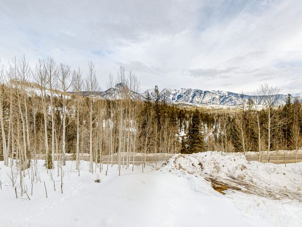 Breckenridge Home 1018093