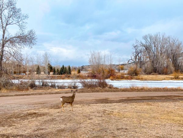 Breckenridge Home 1018101