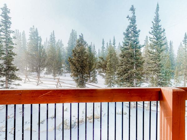 Breckenridge Home 1018112