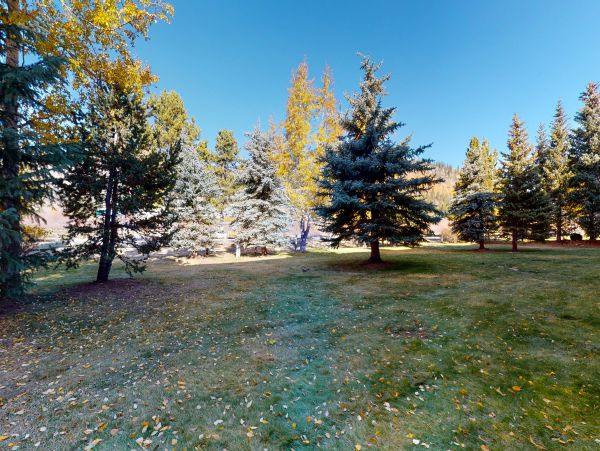 Breckenridge Home 1018147