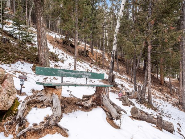 Breckenridge Home 1018150