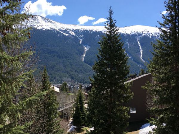 Breckenridge Home 1018160