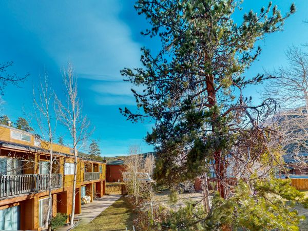 Breckenridge Home 1018165