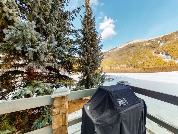 Breckenridge Home 1018168