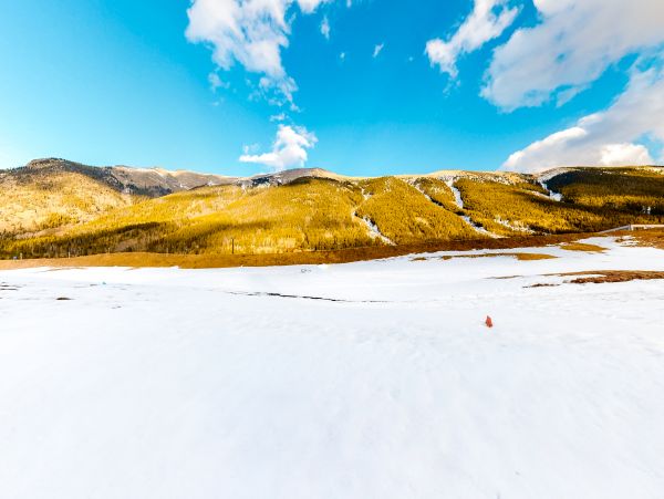 Breckenridge Home 1018168