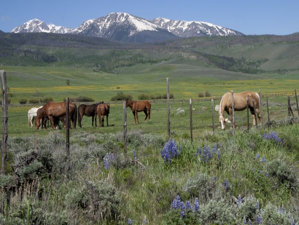 Breckenridge Home 1018180
