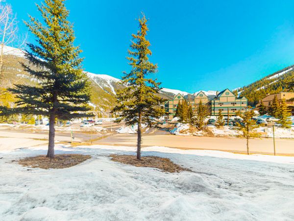 Breckenridge Home 1018181
