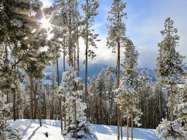 Breckenridge Home 1018192