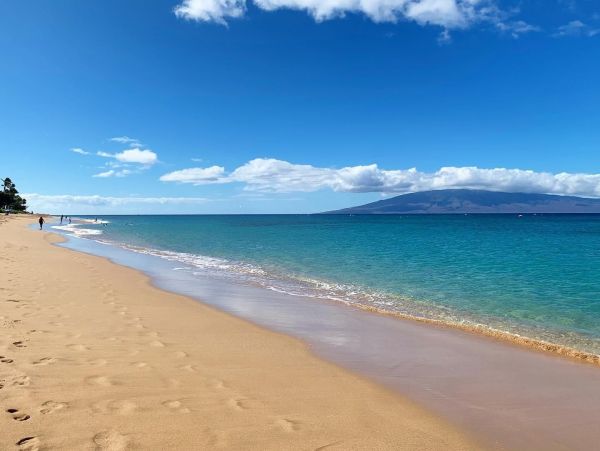 Ocean Views Kaanapali Vacation Condo One Bedroom