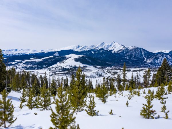 Breckenridge Home 1018215