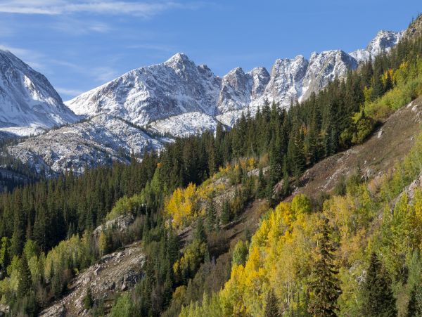 Breckenridge Home 1018215