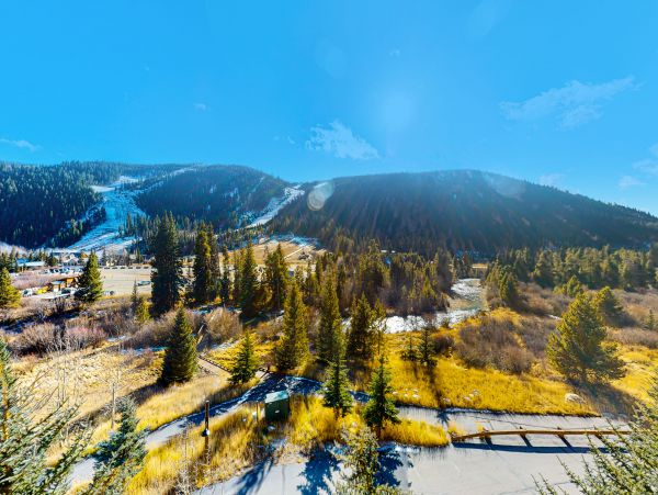 Breckenridge Home 1018226