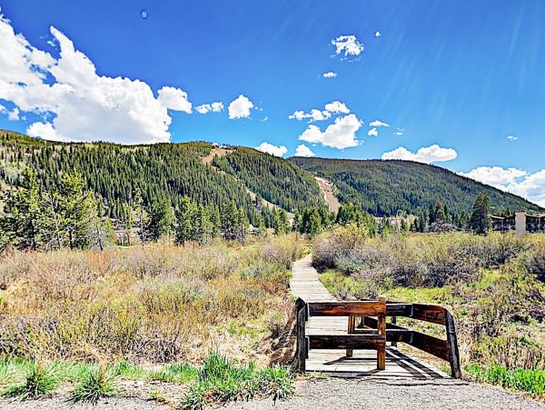 Breckenridge Home 1018230