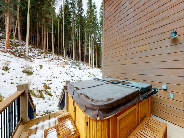 Breckenridge Home 1018233