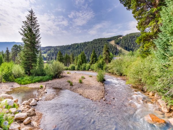 Breckenridge Home 1018244
