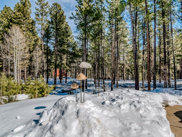 Breckenridge Home 1018245