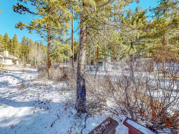 Breckenridge Home 1018253