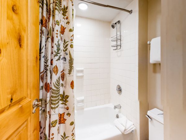Breckenridge Home 1018254
