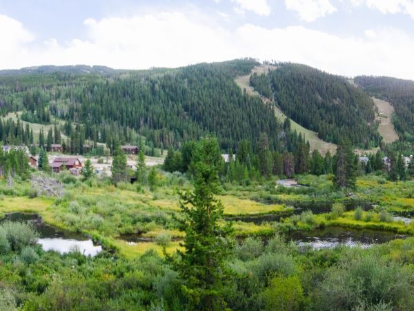 Breckenridge Home 1018259