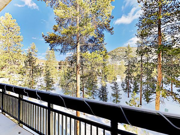 Breckenridge Home 1018262