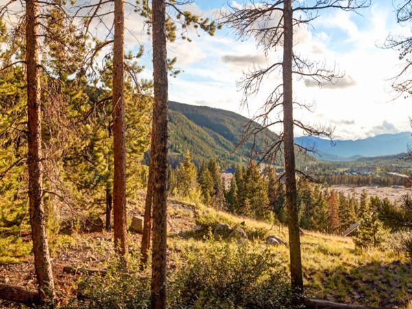 Breckenridge Home 1018262