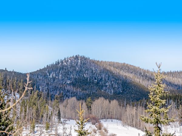 Breckenridge Home 1018264