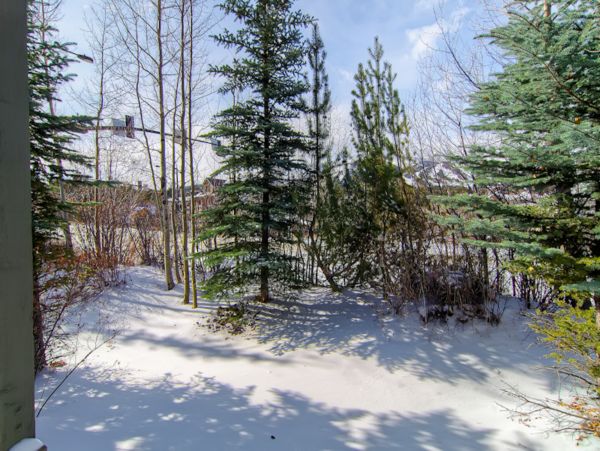 Breckenridge Home 1018276