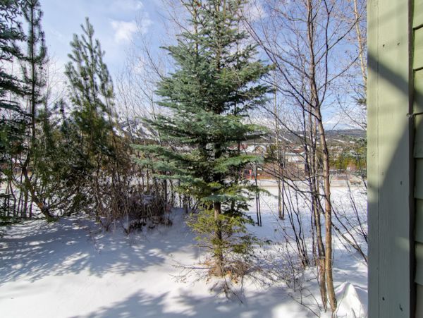 Breckenridge Home 1018276