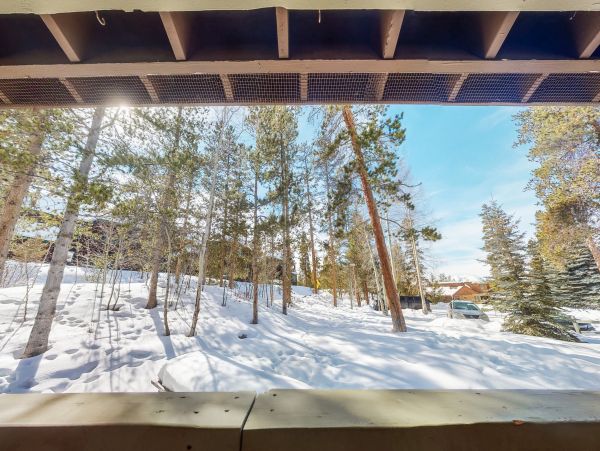Breckenridge Home 1018277