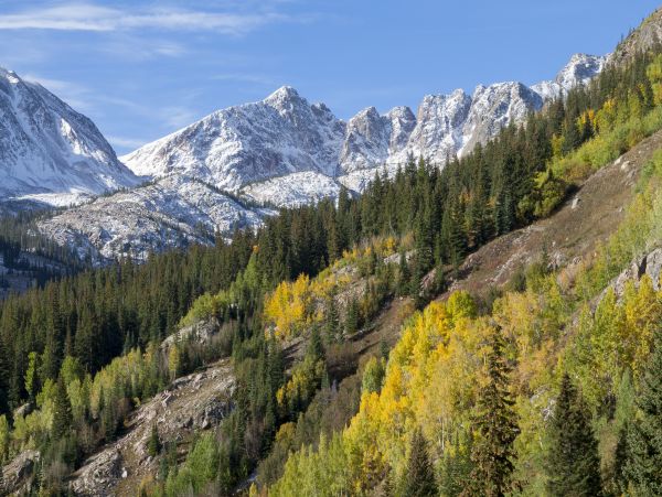 Breckenridge Home 1018281