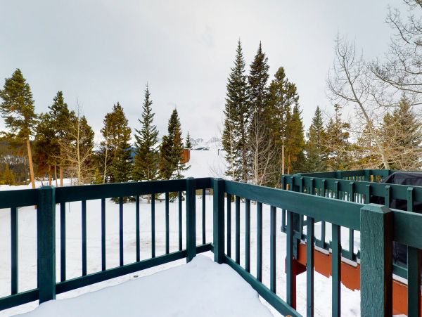 Breckenridge Home 1018287