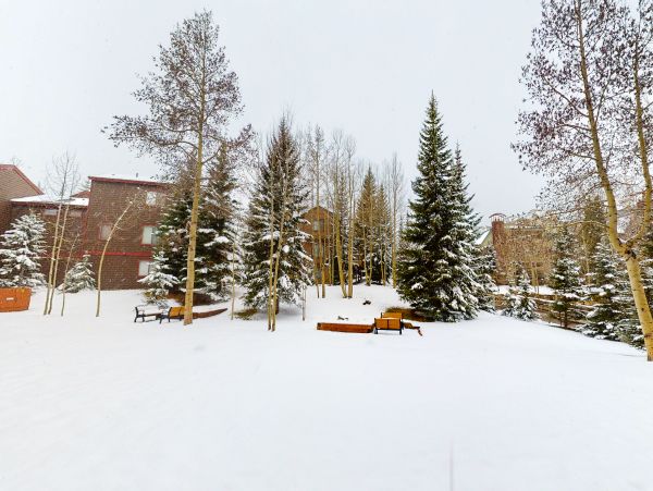 Breckenridge Home 1018295