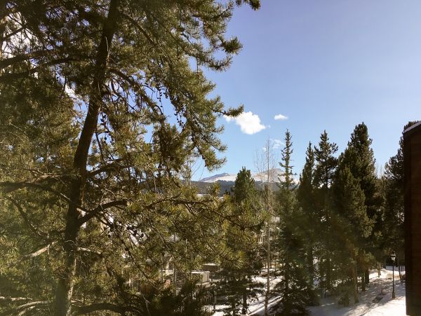 Breckenridge Home 1018310