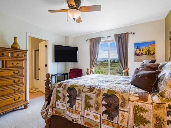 Telluride Home 1018325