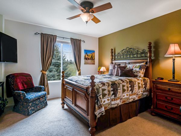 Telluride Home 1018325