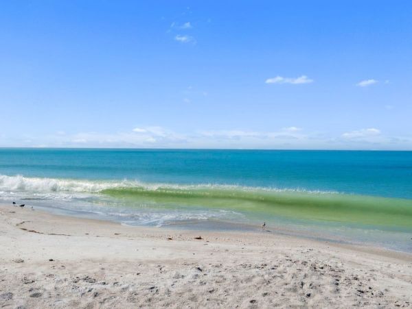 Longboat Key Beachfront Condo - Gulf of Mexico Vacation Rental with Ocean Views