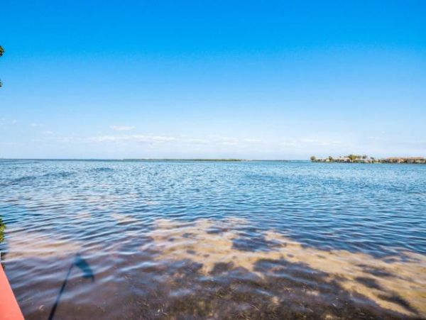 Bradenton Beach One Bedroom Shared Pool