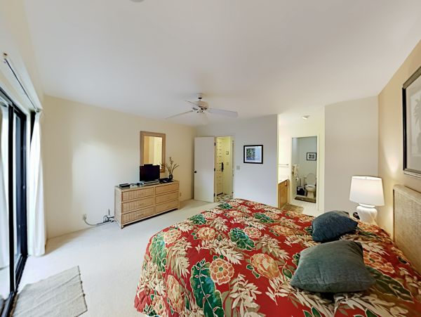 Wailea Home 1018363