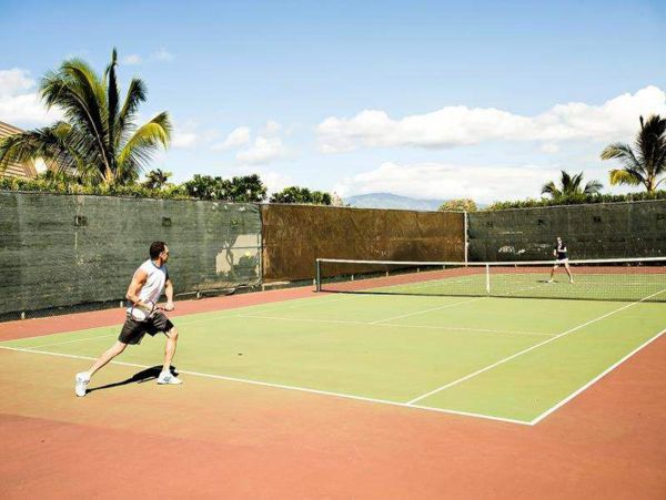 Wailea Home 1018363