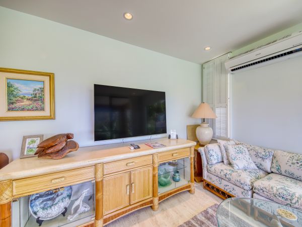 Wailea Home 1018364