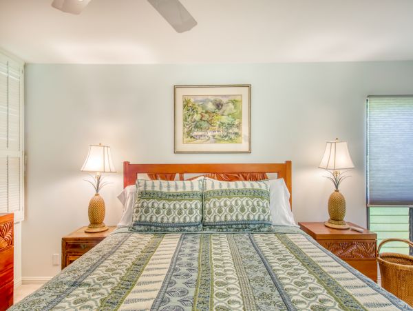 Wailea Home 1018364