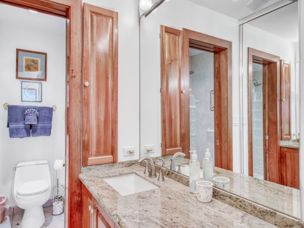 Wailea Home 1018364