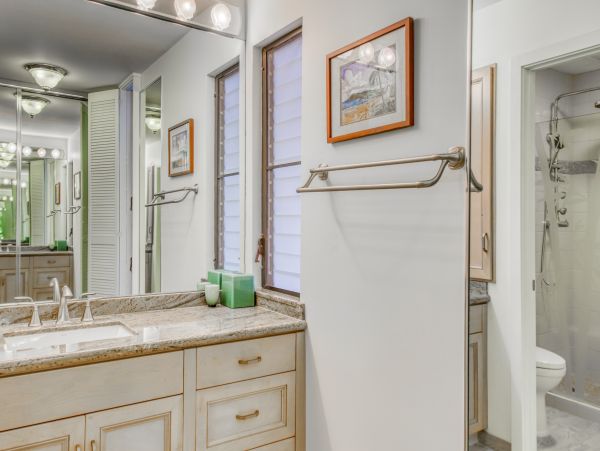 Wailea Home 1018364
