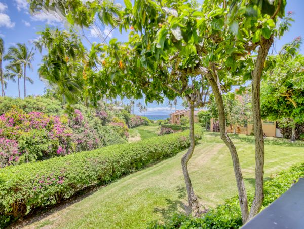 Wailea Home 1018364