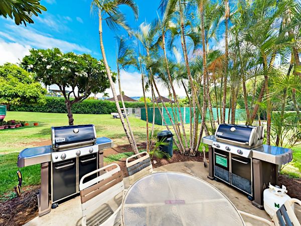Wailea Home 1018365