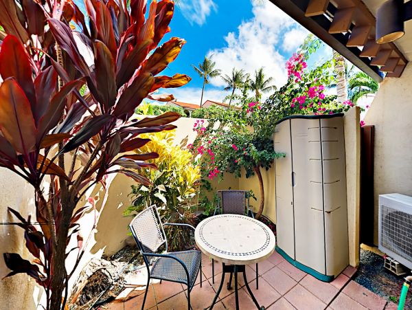 Wailea Home 1018365