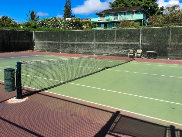 Wailea Home 1018365