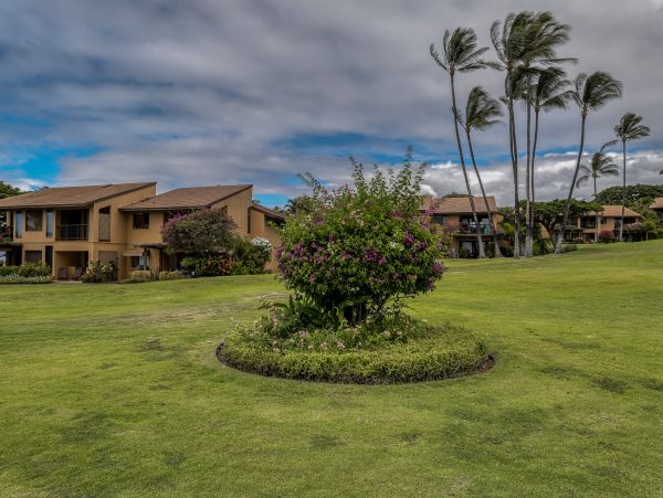 Wailea Home 1018366