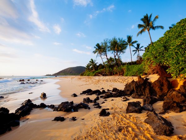 Wailea Home 1018367